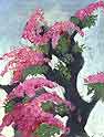 Flower Tree
